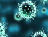 برلماني يكشف أسباب عودة زيادة أعداد مصابي كورونا